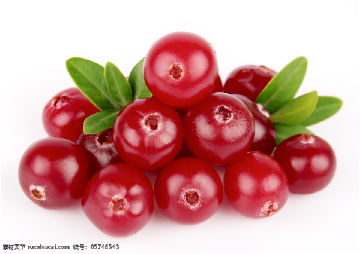 红醋栗 红醋栗果酱 营养水果 水果 叶子 绿叶 蔓越莓 生物世界
