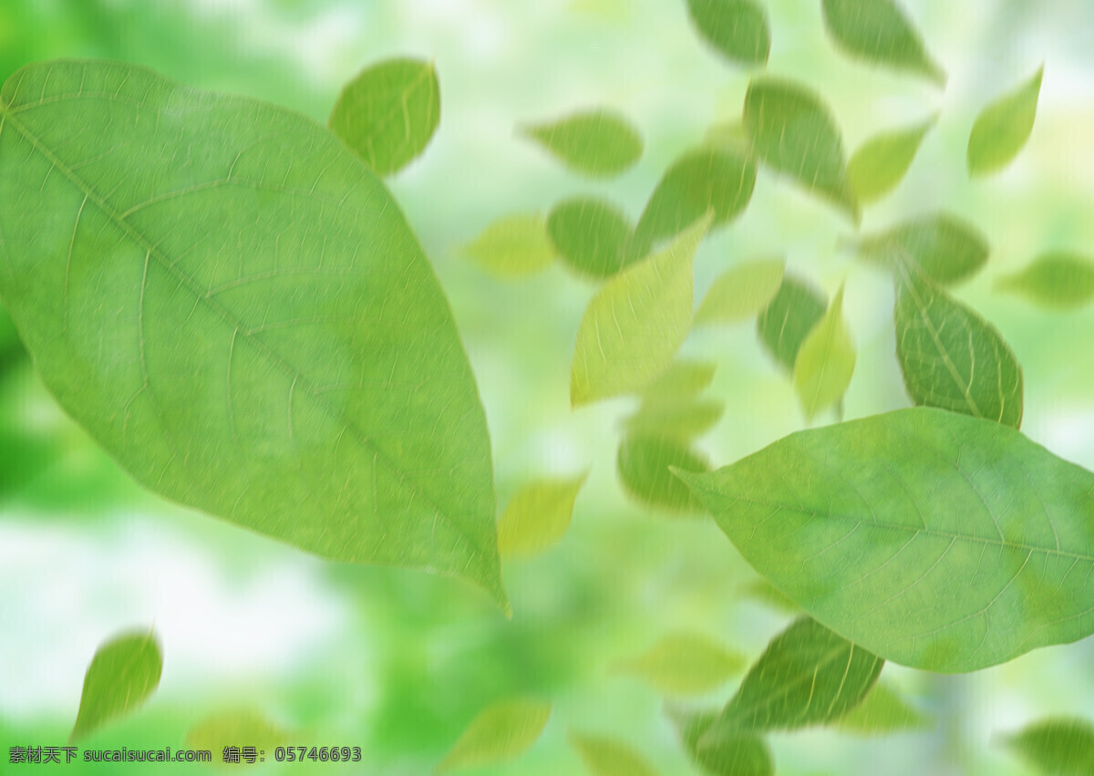 白云 背景 背景底纹 草 底纹边框 底纹模板 花 蓝天 梦幻设计素材 梦幻模板下载 梦幻 水 叶子 水波 水滴 绿色 生命 生机 设计图库 psd源文件