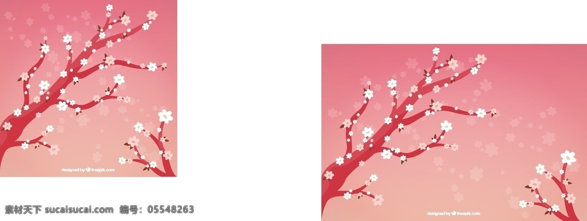 手绘 樱桃 树 背景 花 自然 春天 日本 植物 绘画 枝 樱桃树 粉色