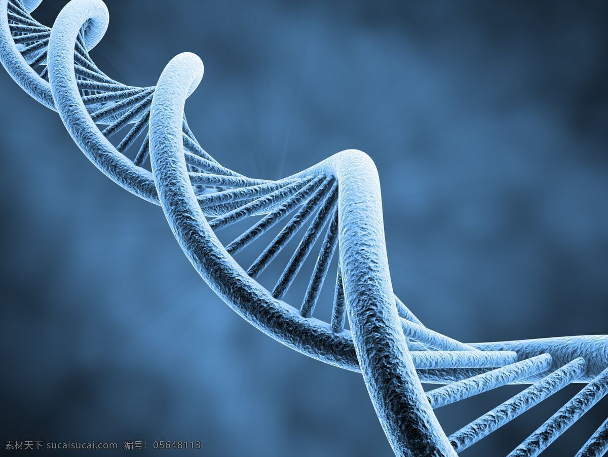 基因dna dna结构图 dna背景 科技背景 dna分子 螺旋 科学分子 基因 基因链 生物 化学 生物化学 生物技术 遗传 遗传病 染色体 医学 医疗 基因组 医疗保健 生活百科 摄影图片 现代科技 科学研究