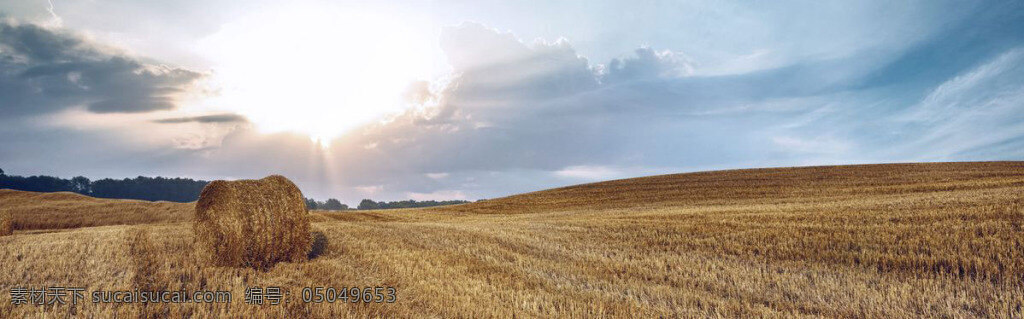 大气 蓝天 收获 背景 金秋 丰收 海报 banner