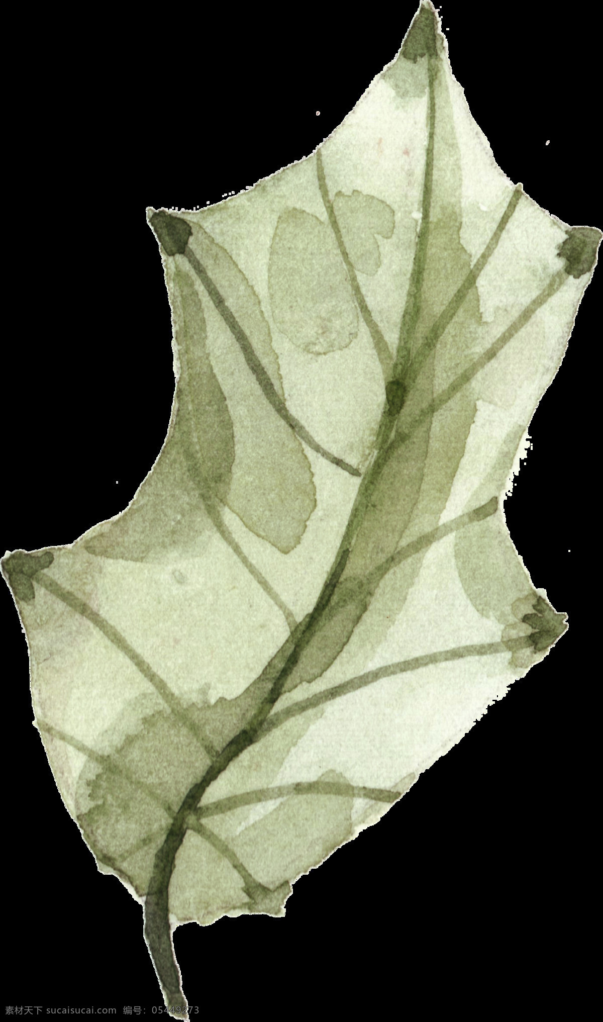 水墨 树叶 透明 装饰 png素材 创意 简约 免扣素材 墨绿 叶子