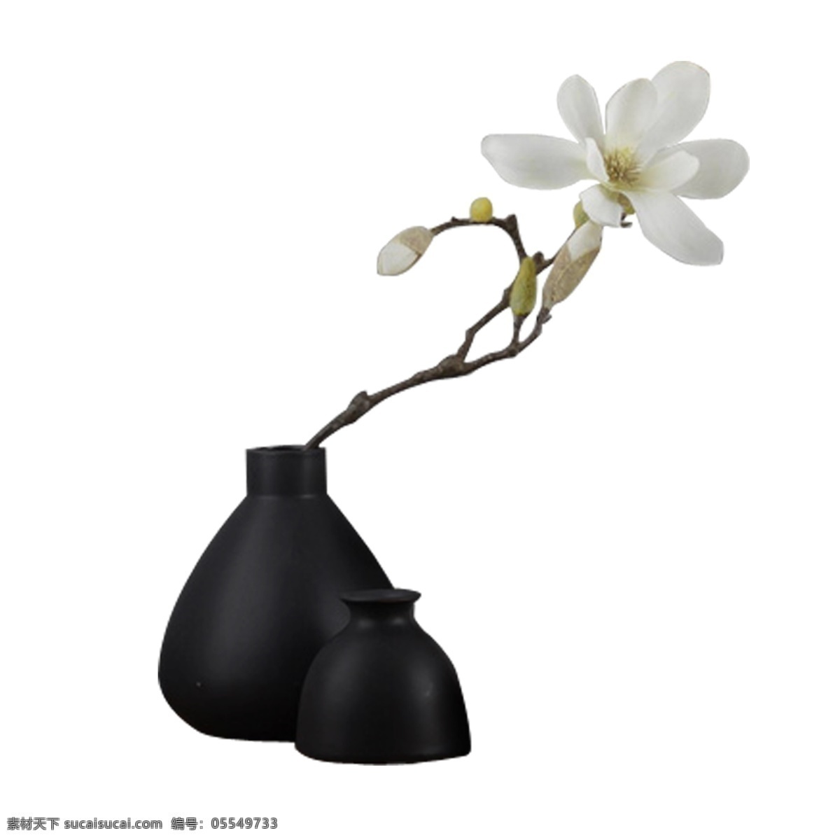 漂亮 花瓶 装饰 黑色 白色 花枝 优美 装饰素材