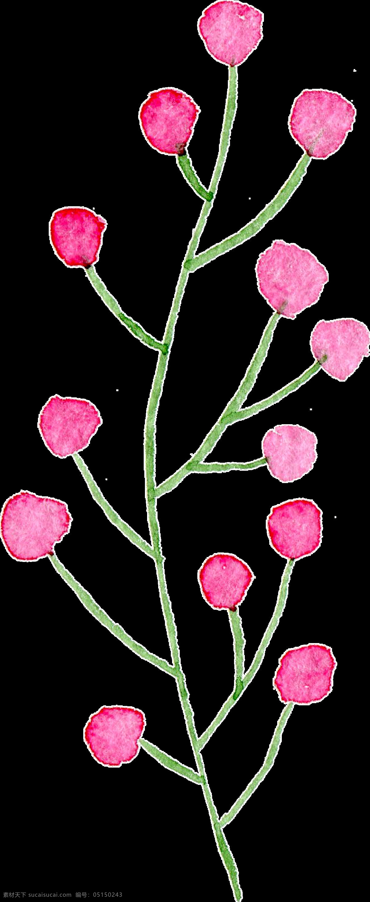 粉红 果实 花 卡通 透明 花束 枝叶 透明素材 免扣素材 装饰图案