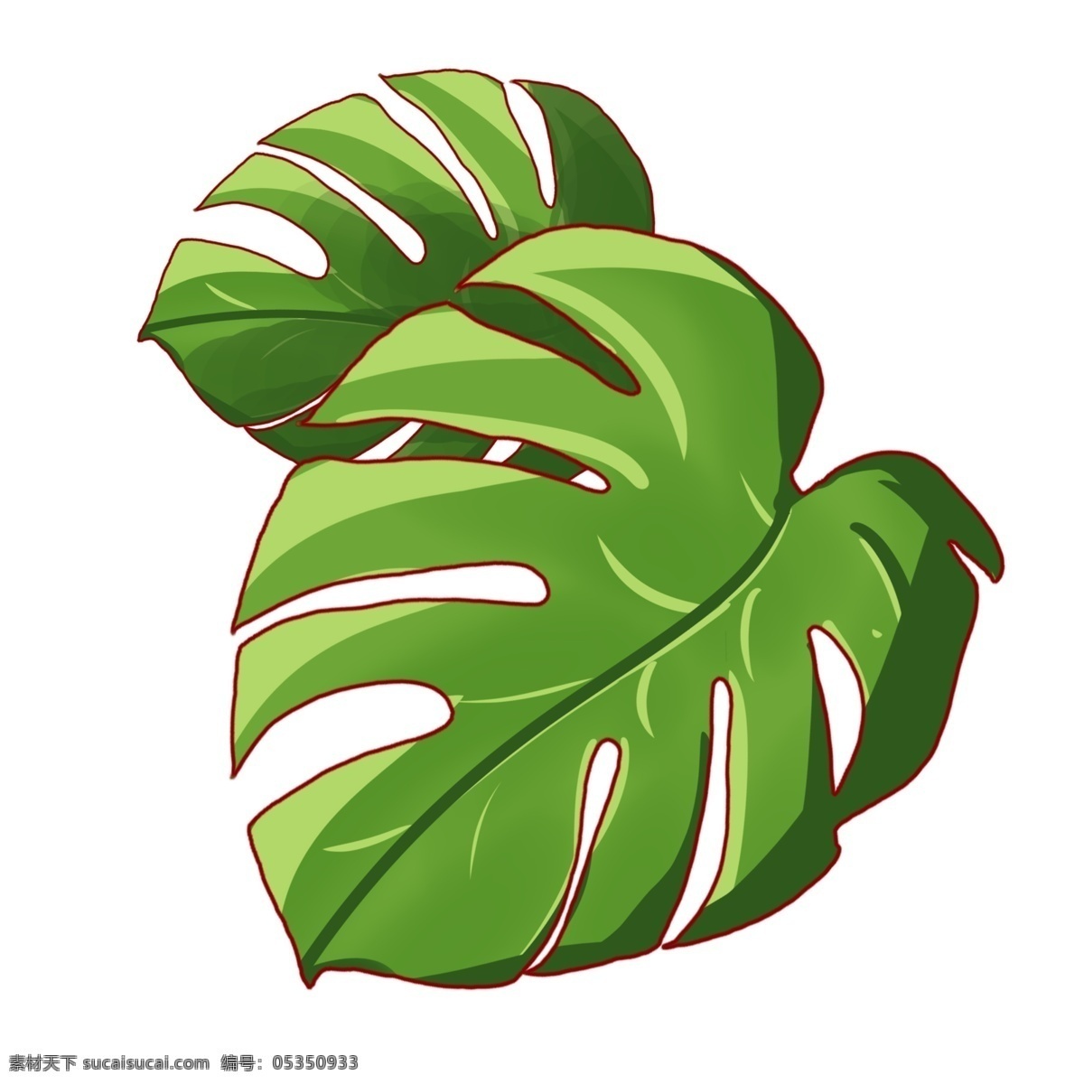 绿色热带植物 植物 绿色 叶子