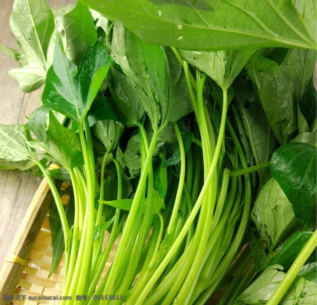 番薯叶 红薯叶 薯叶 薯藤 地瓜叶 生物世界 蔬菜