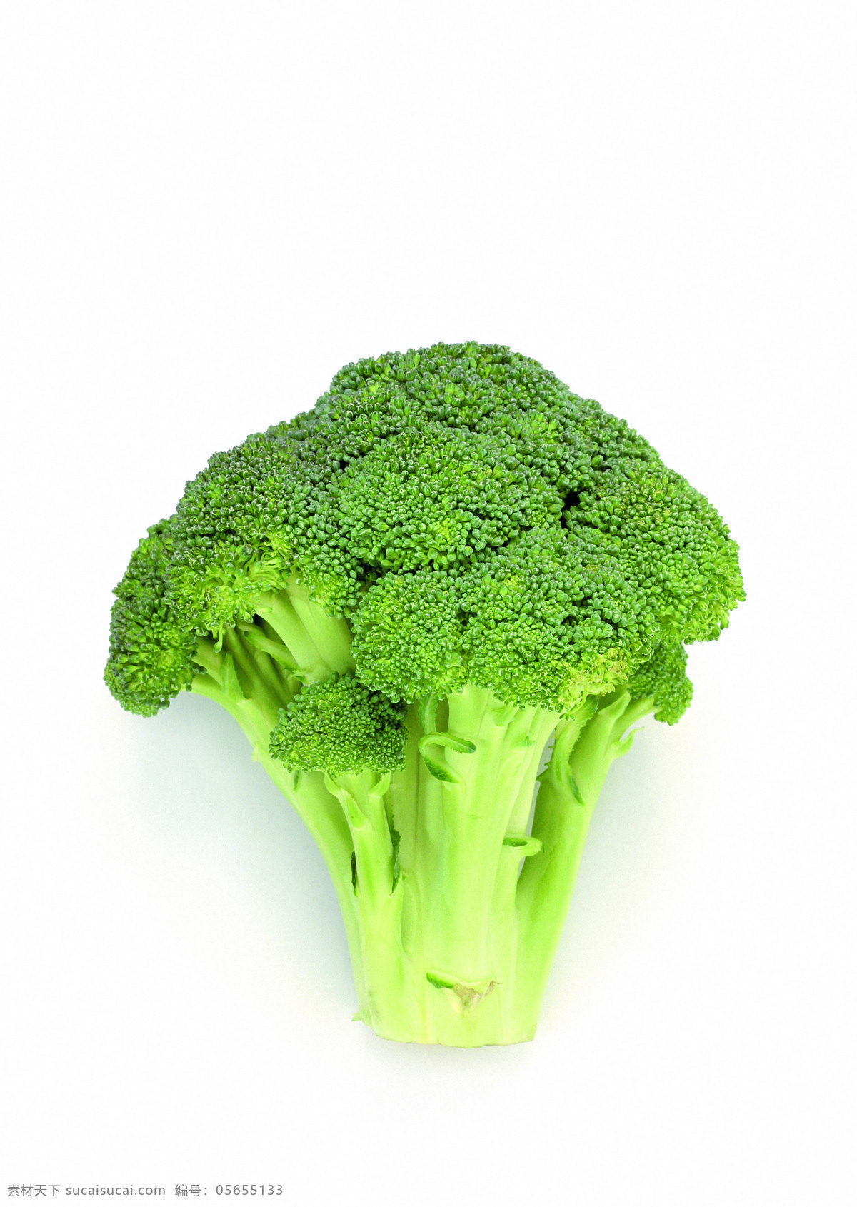 新鲜花椰菜 花椰菜 单颗 鲜绿 食材 高质量 清晰 生物世界 蔬菜 摄影图库