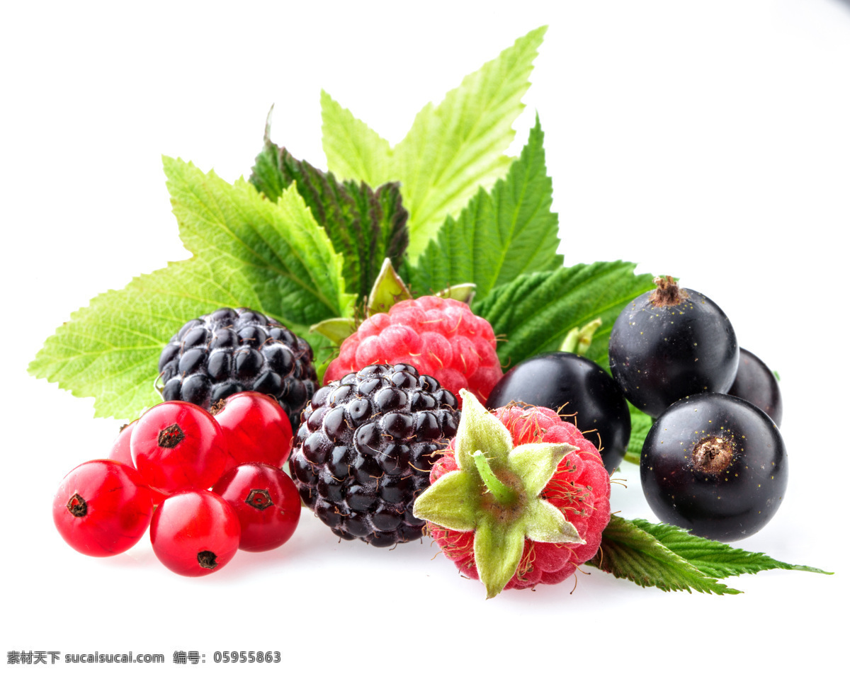 水果叶子背景 叶子 桑甚 水果 水果摄影 新鲜水果 水果广告 食物 水果蔬菜 餐饮美食 白色