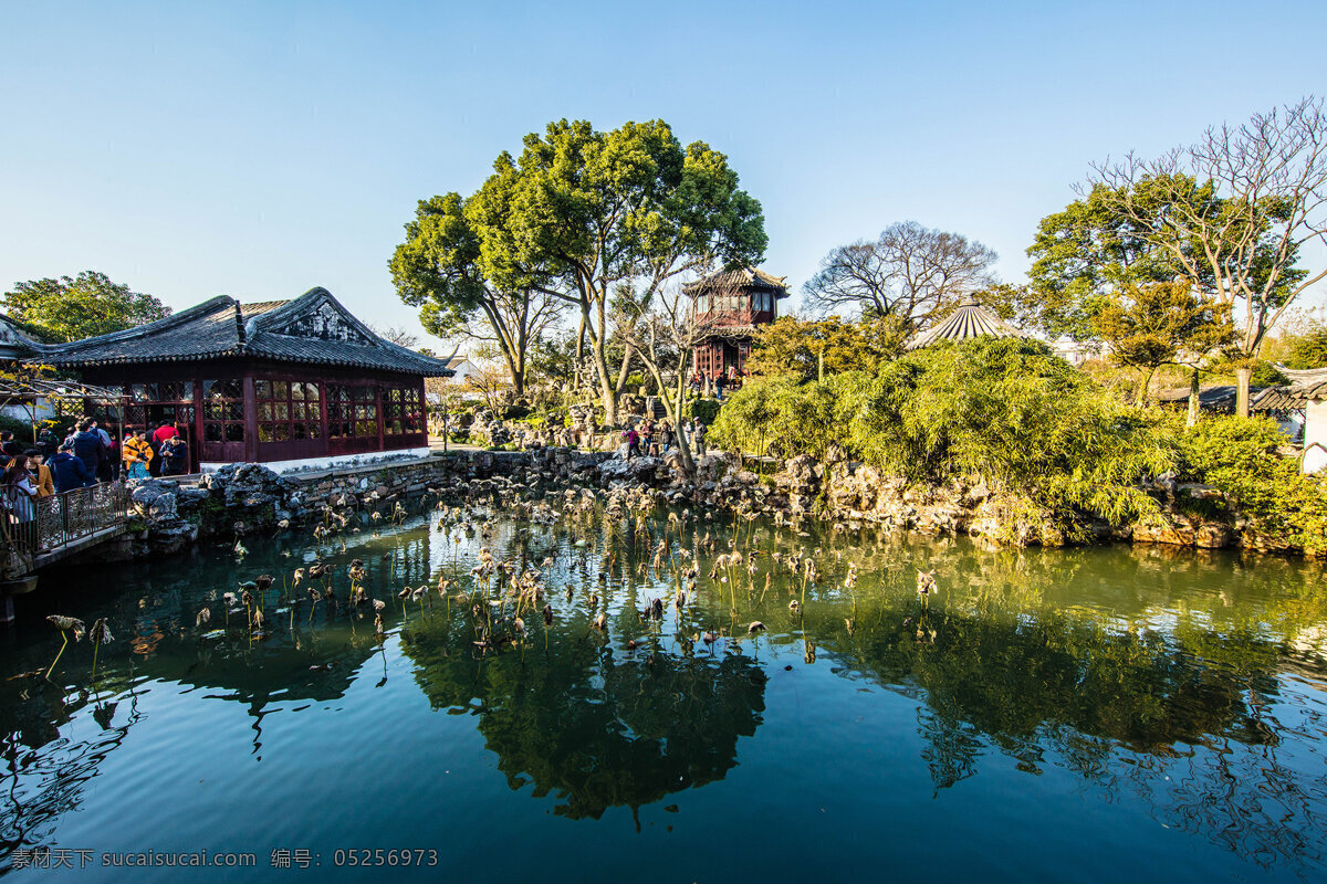 江苏 苏州 拙政园 风景