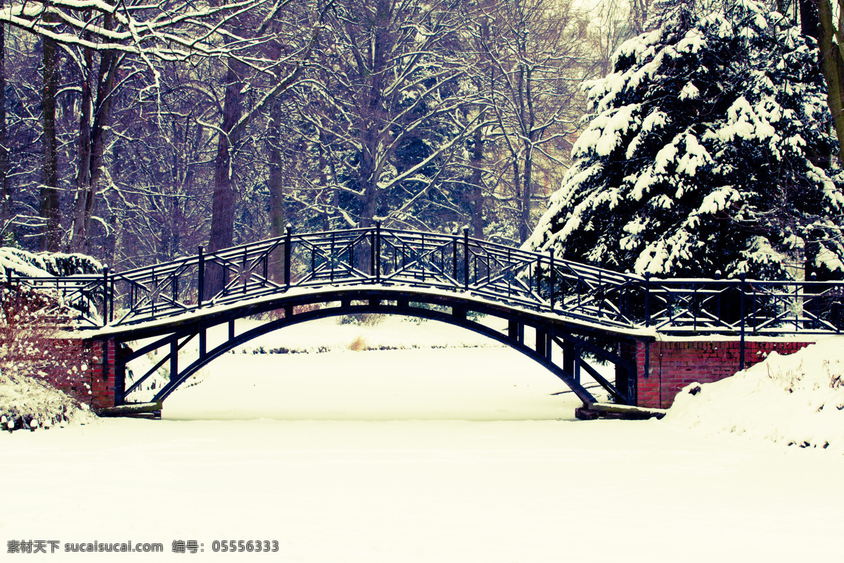 美丽 小桥 雪松 冬天风景 雪地 树林 山水风景 风景图片