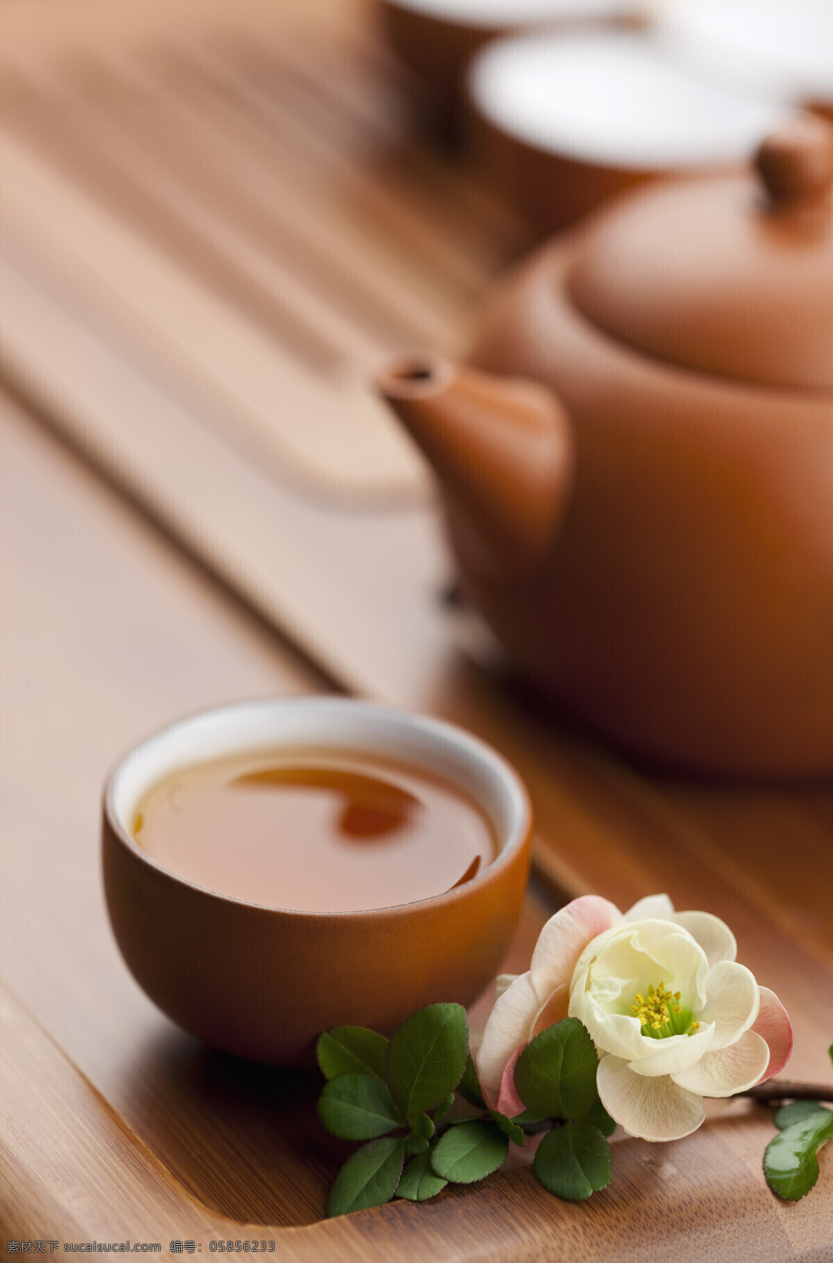 茶文化 茶道 杯子 彩图 茶 茶杯 茶壶 茶具 茶花 茶艺 传统文化 东方文化 竖图 简单 静物 茗茶 中国 传统 高清图片 茶道图片 餐饮美食