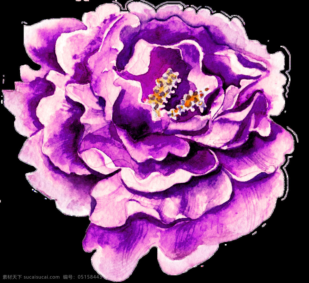 朵 紫色 水彩 花 透明 逼真 层次分明 美艳 免扣素材 牡丹 生动 透明素材 唯美 装饰图案