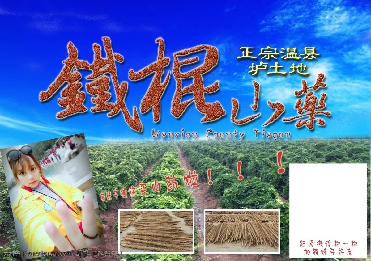 铁棍山药 山药 养生 特产 食品 温县 招贴设计 生物世界