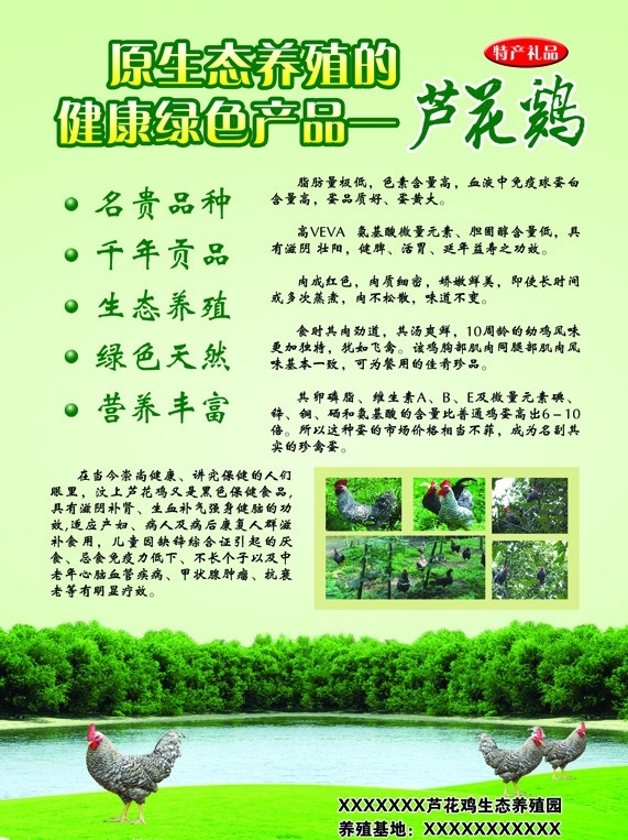 芦花鸡海报 养殖基地 鸡图片 小河 绿色 绿色食品 名贵品种 原生态 花草 树 广告设计模板 源文件