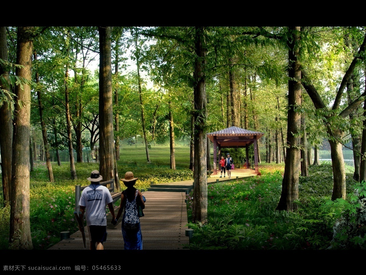 林中亭 景观设计 园林景观 新农村 秀美乡村 乡村效果图 景观效果图 新农村建设 环境设计