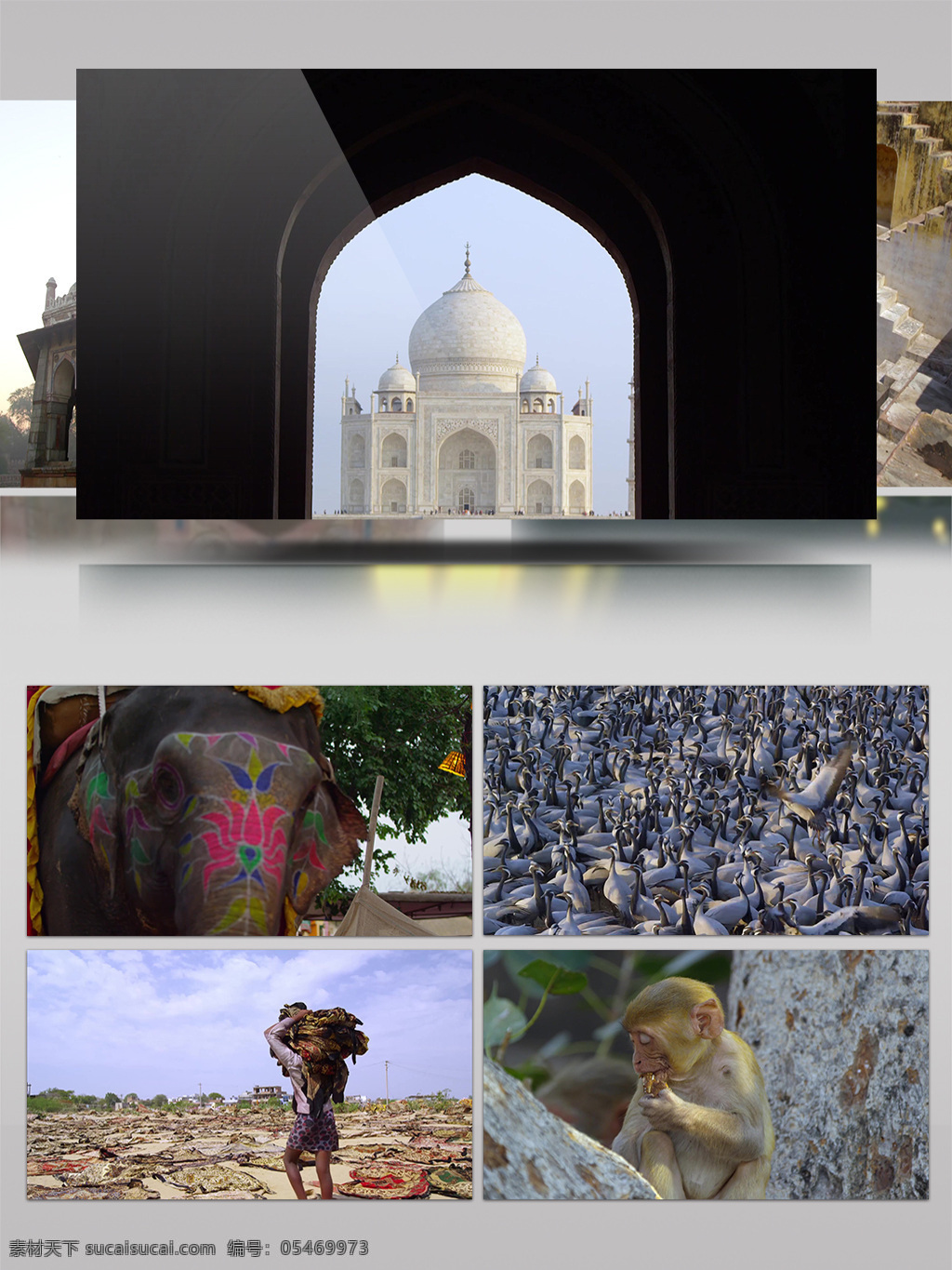 2k 印度 城市 建筑 人文 风情 沙漠 骆驼 宣传片 风景 大象 猴子 历史 城市景观 特色