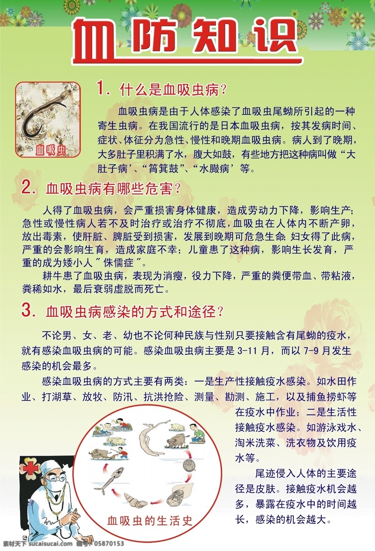 血防知识展板 血防 学校展板 吸血虫 医生 吸血虫病 大肚子病 展板模板 广告设计模板 源文件