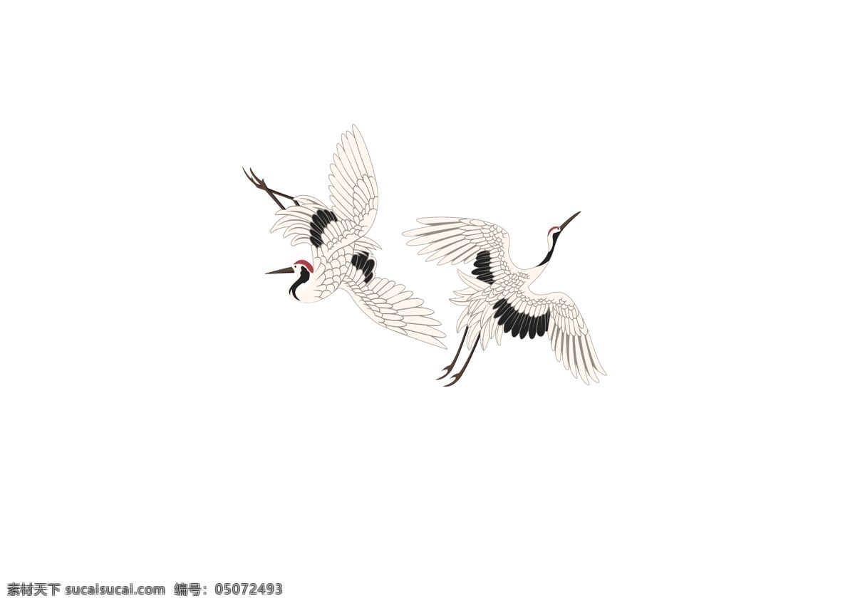 鹤图片 飞鹤 中国风 鸟类 矢量 图案 印花 生物世界