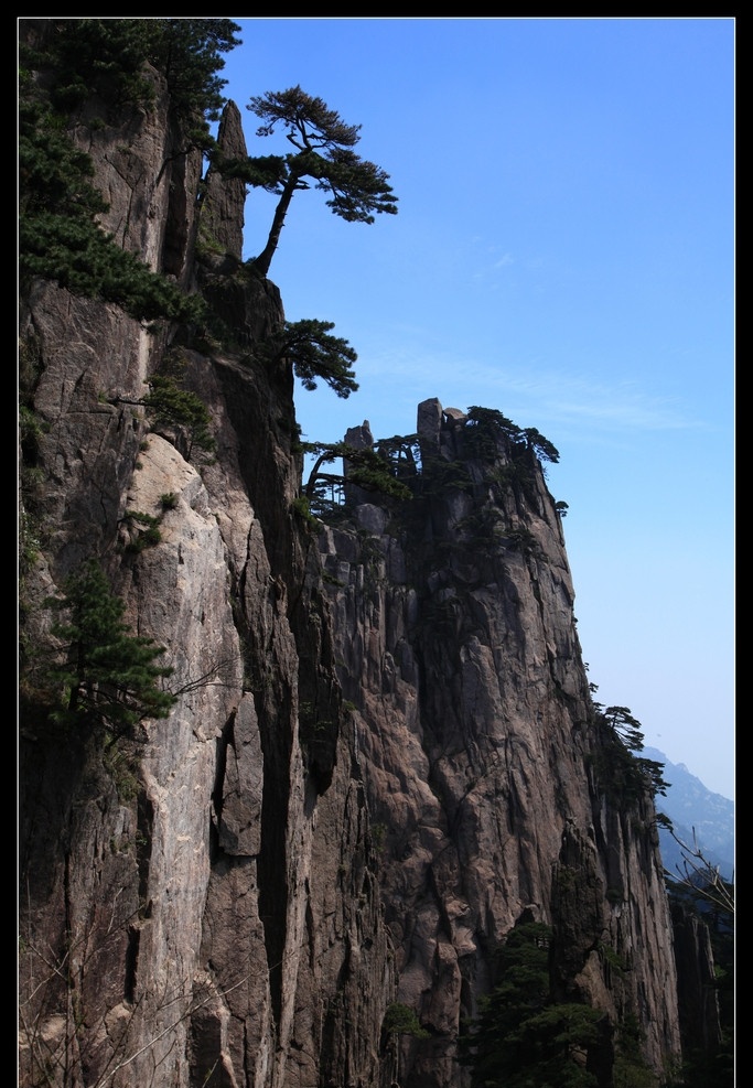 黄山松 安徽 黄山 始信峰 苍松 奇石 高清图 国内旅游 旅游摄影