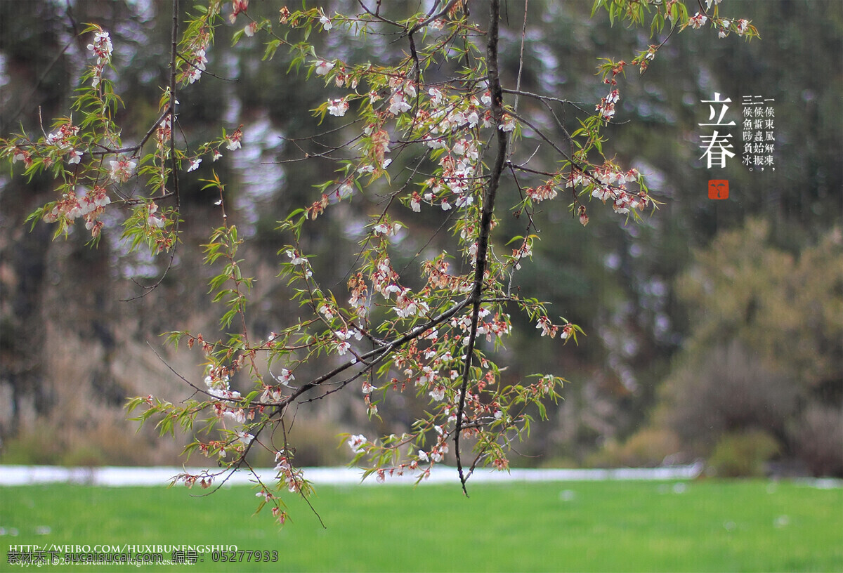 二十四节气 立春 张春摄影作品 自然风光 自然景观 转载 请 注明 出处 作者