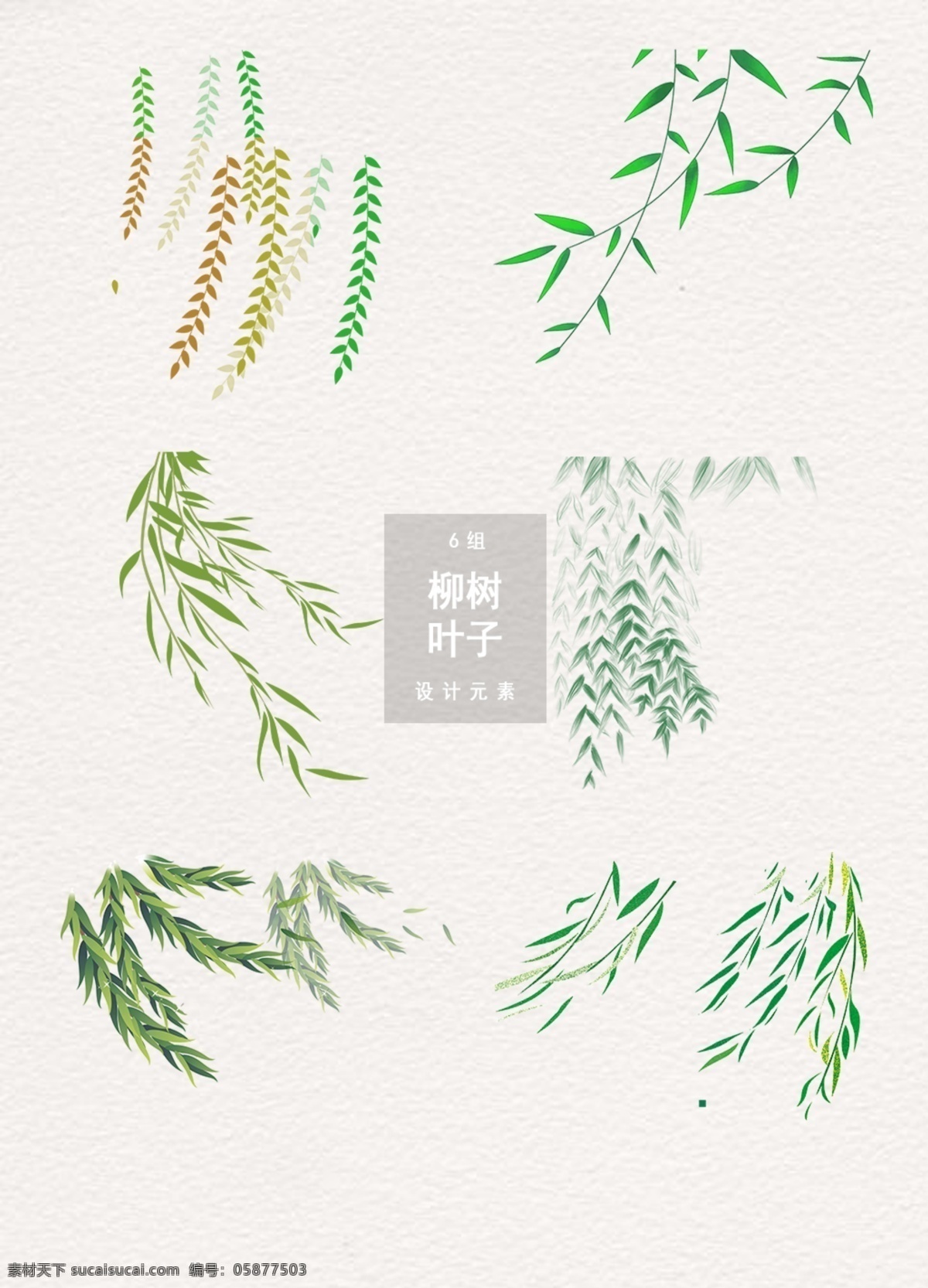 清新 柳树 叶子 元素 合集 柳叶 端午 柳条 柳枝
