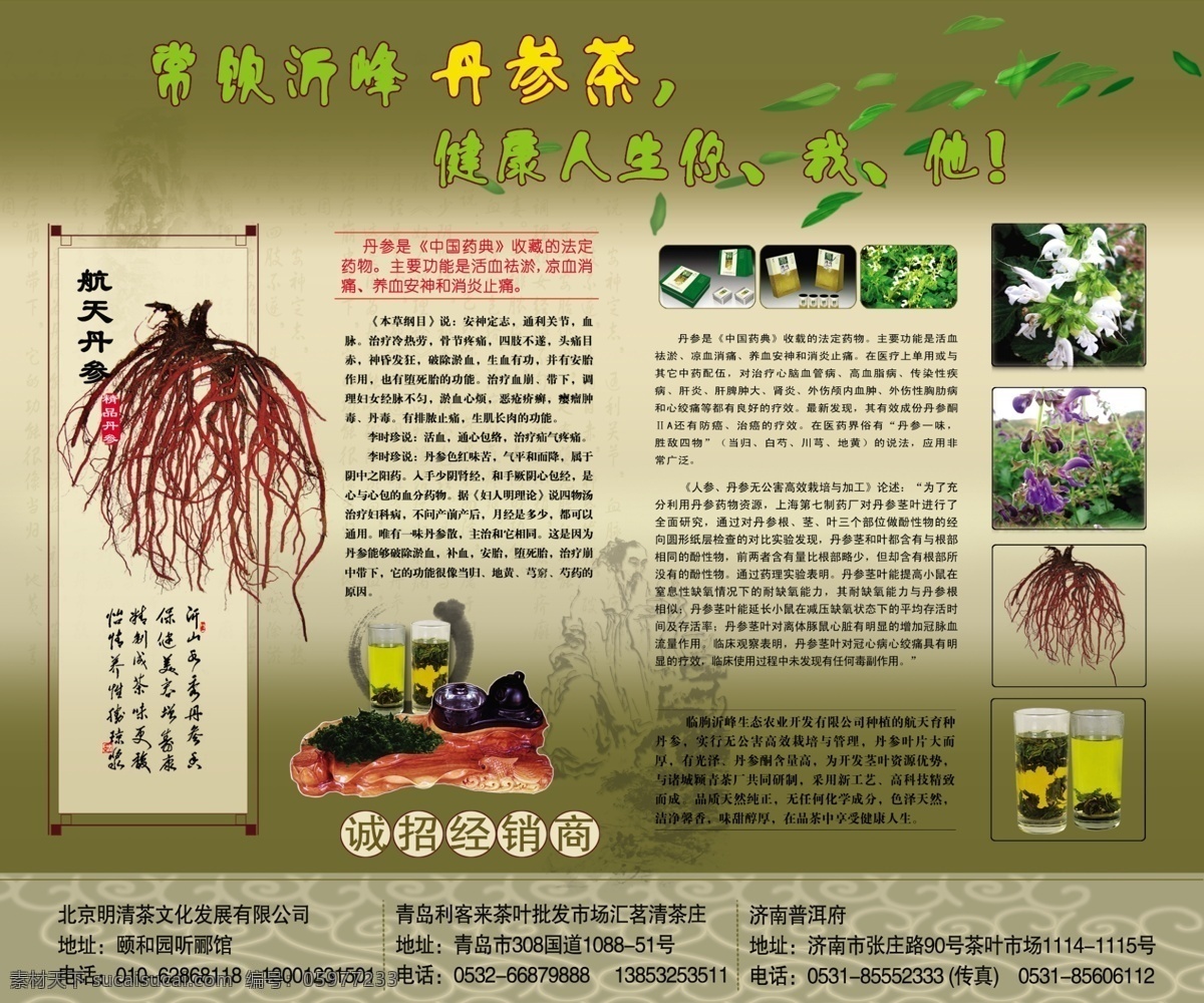 dm宣传单 茶 茶广告 茶文化 茶宣传 茶叶 广告设计模板 宣传册 源文件 广告 模板下载 丹参茶 中国茶叶市场 psd源文件 餐饮素材