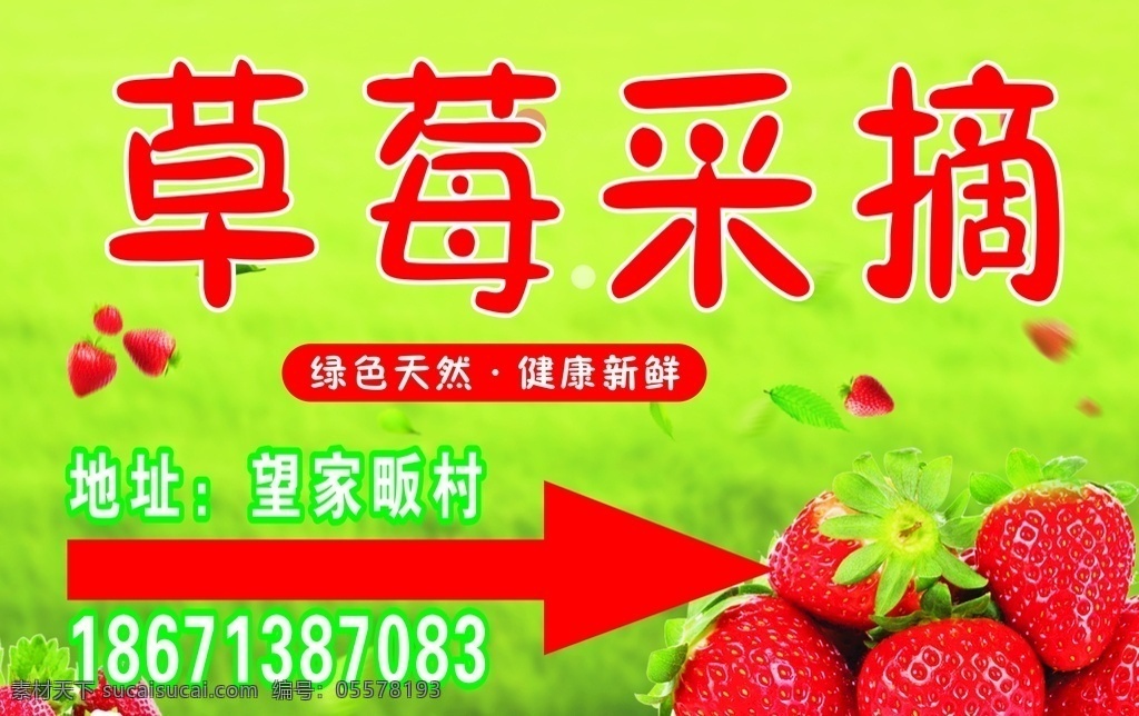 草莓 草莓采摘展板 路牌