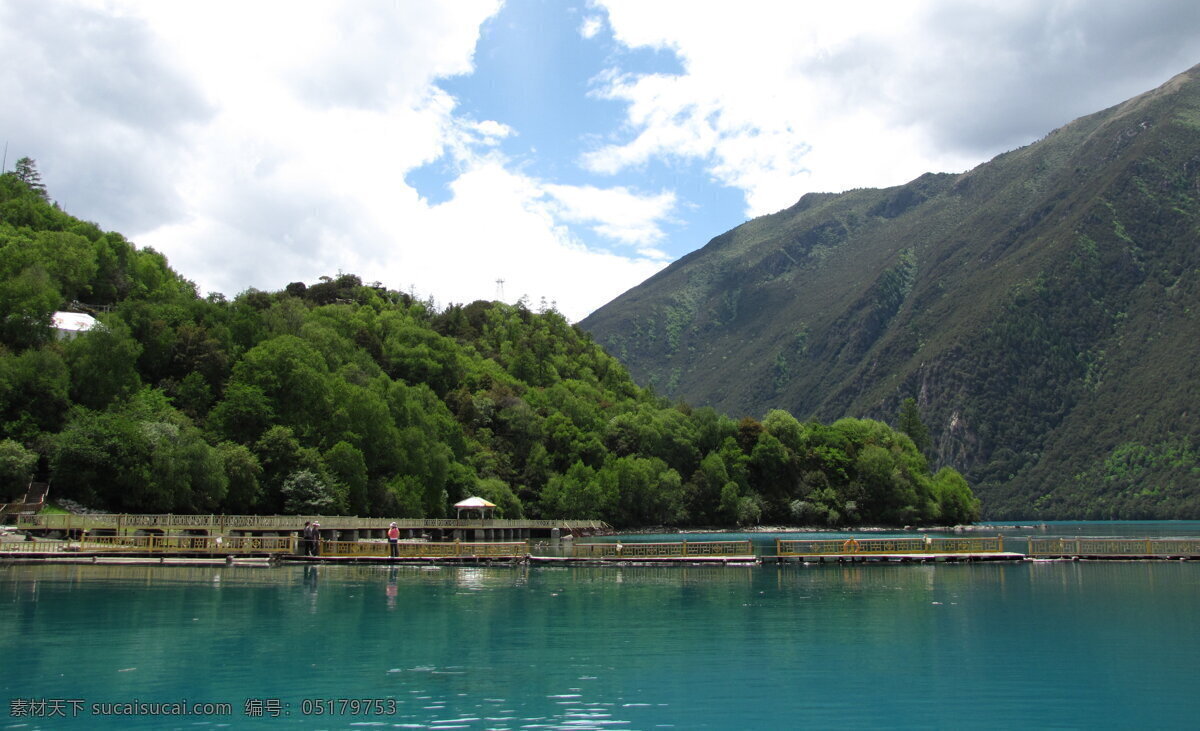 树免费下载 风景 绿色 山水风景 摄影图 树 植物 自然景观 水 家居装饰素材 山水风景画