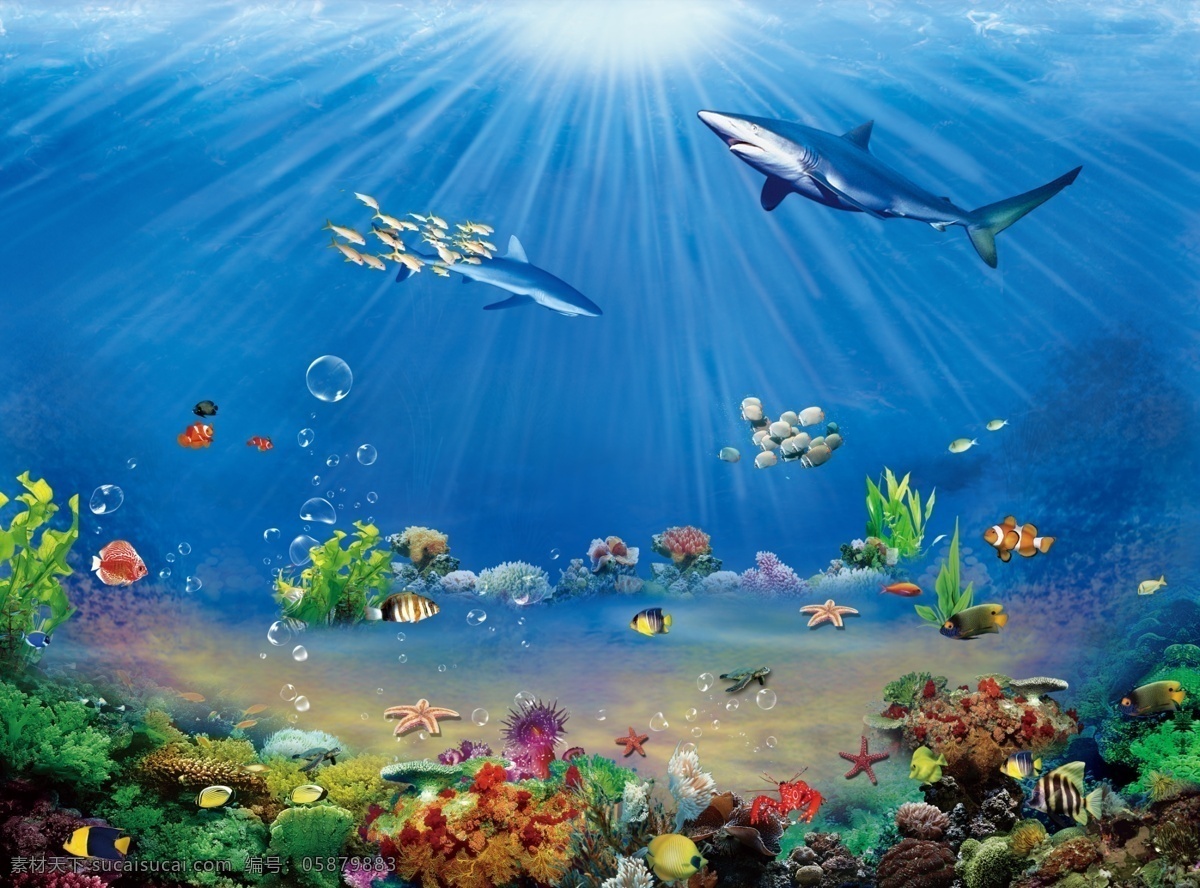 海底世界 海底 海洋世界 海底背景 新鲜鱼 鱼 海底鱼 虾 鱼缸 活鱼 热带鱼 水族馆 水族馆背景 观赏热带鱼 水族箱 水族箱背景 观赏鱼 淡水鱼 珊瑚 海星 贝壳 螃蟹 乌龟 鱼群 水母 珍珠等 分层 源文件