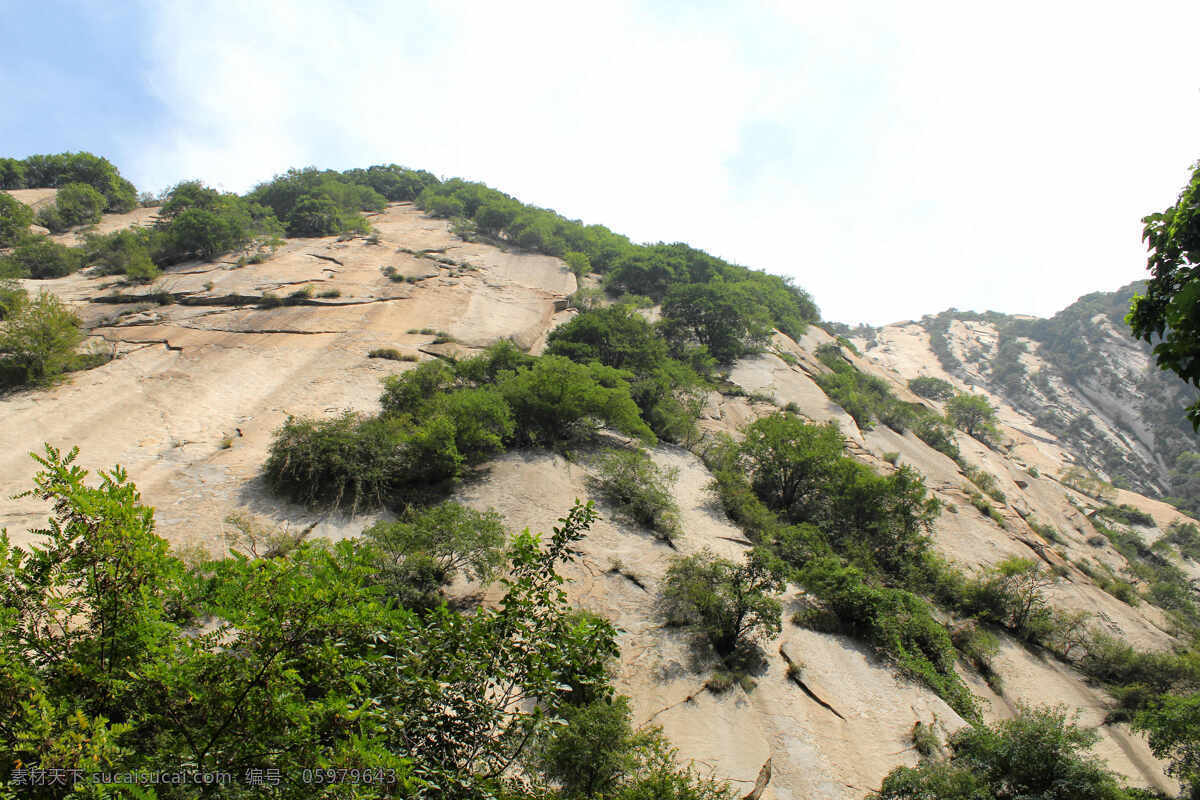 华山风光 华山一角 华山 山崖 华山山景 华山美景 华山风景 华山树丛 树木 大山 石山 山林 华山雪松 华山旅游 华山中峰 华山松树 西岳华山 华山东峰 五岳 赵匡胤 朝阳峰 华山亭子 名山大川 华山标志建筑 陕西旅游 群山起伏 华山地标 华山云海 云雾 云海 高清华山照片 自然景观 风景名胜