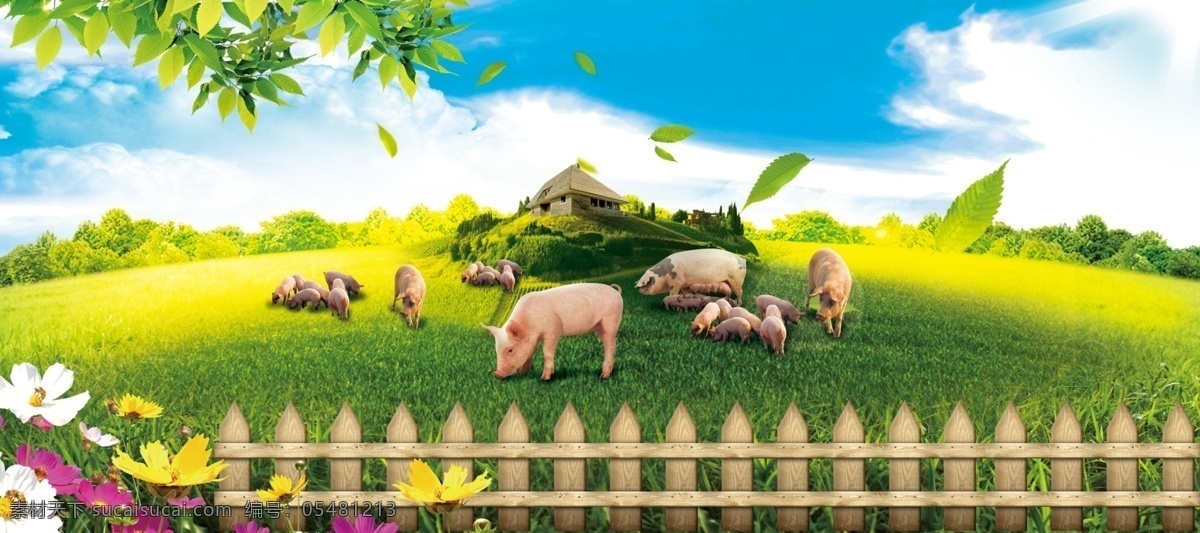 生猪 活猪 猪群 散步的猪 蓝天白云 花朵 栅栏 绿地 草地 叶子 白云 小猪 设计稿件 分层