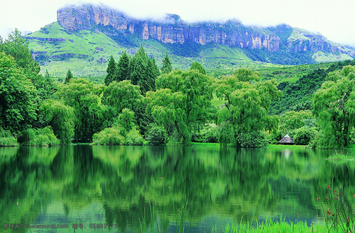 非 主流 风景图片 美丽风景图片 摄影图 自然风景图片 丛林风景图片 热带丛林图片 丛林 迷彩服 风景 生活 旅游餐饮