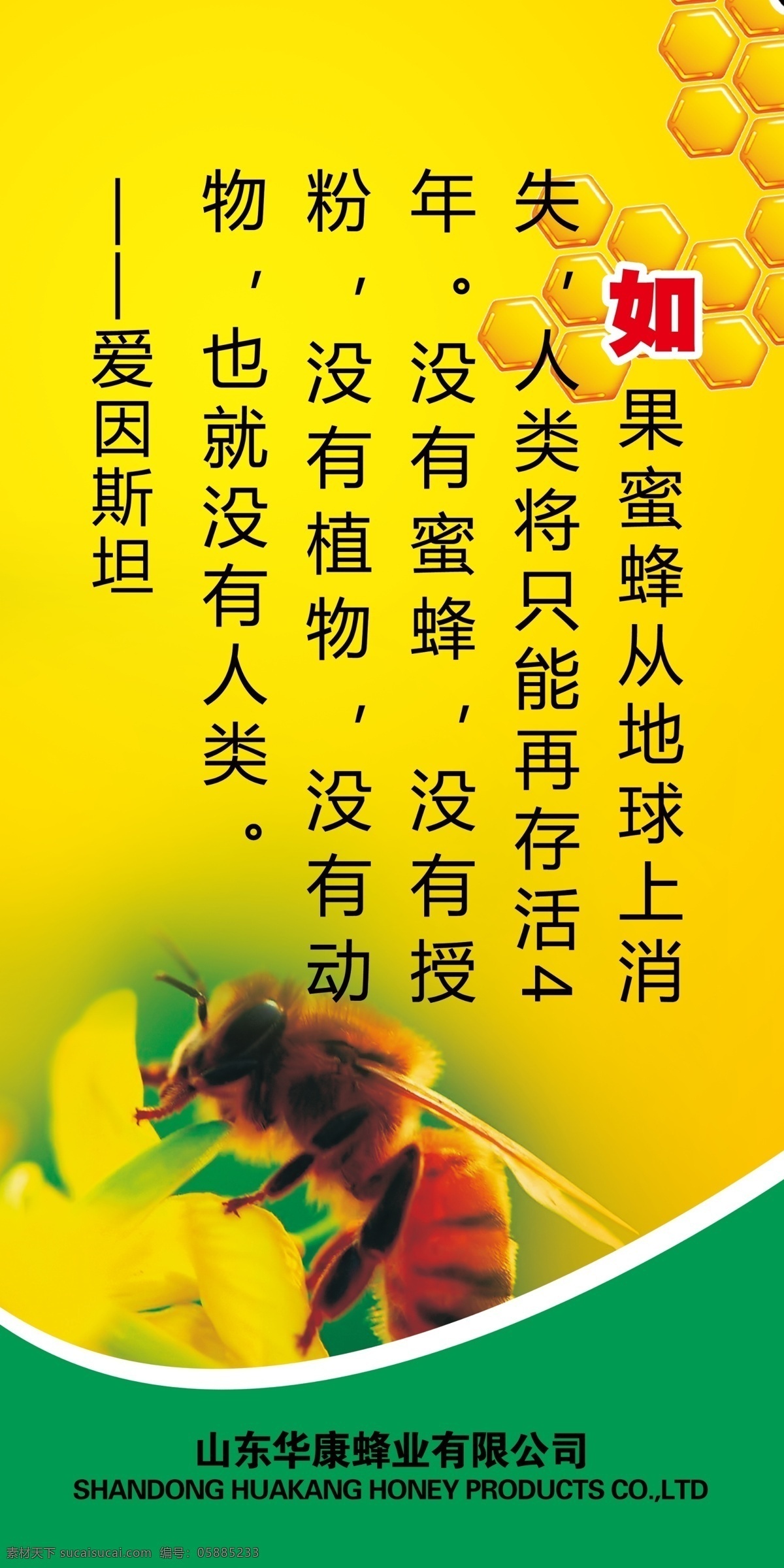 蜂蜜版面 洋槐蜜 嗡嗡乐 蜂蜜展板 户外广告 展板模板