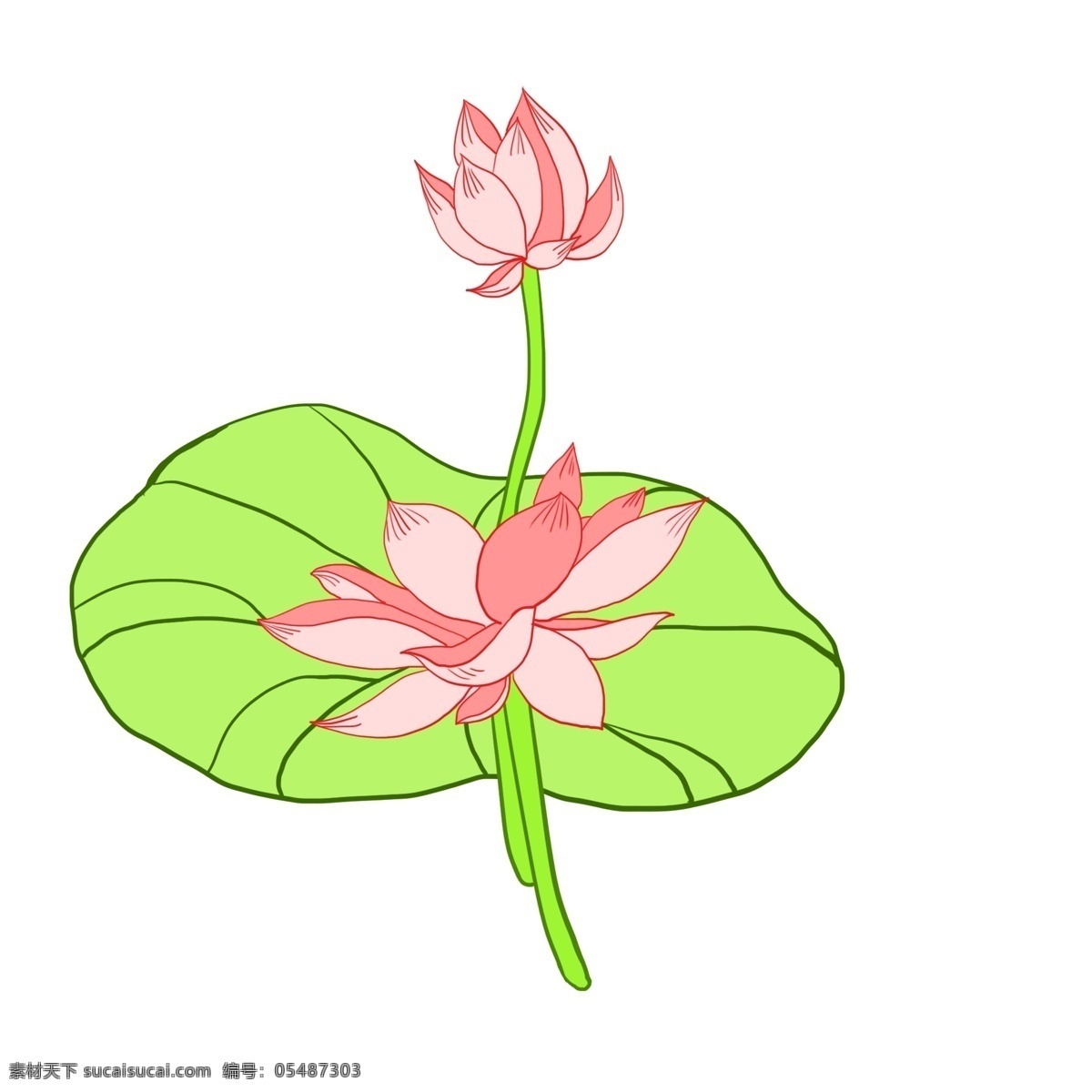 卡通 可爱 手绘 荷花 花卉 绿色 卡通荷花 卡通荷叶 叶子 绿色叶子 粉色荷花 花朵 卡通花朵 中国风荷叶