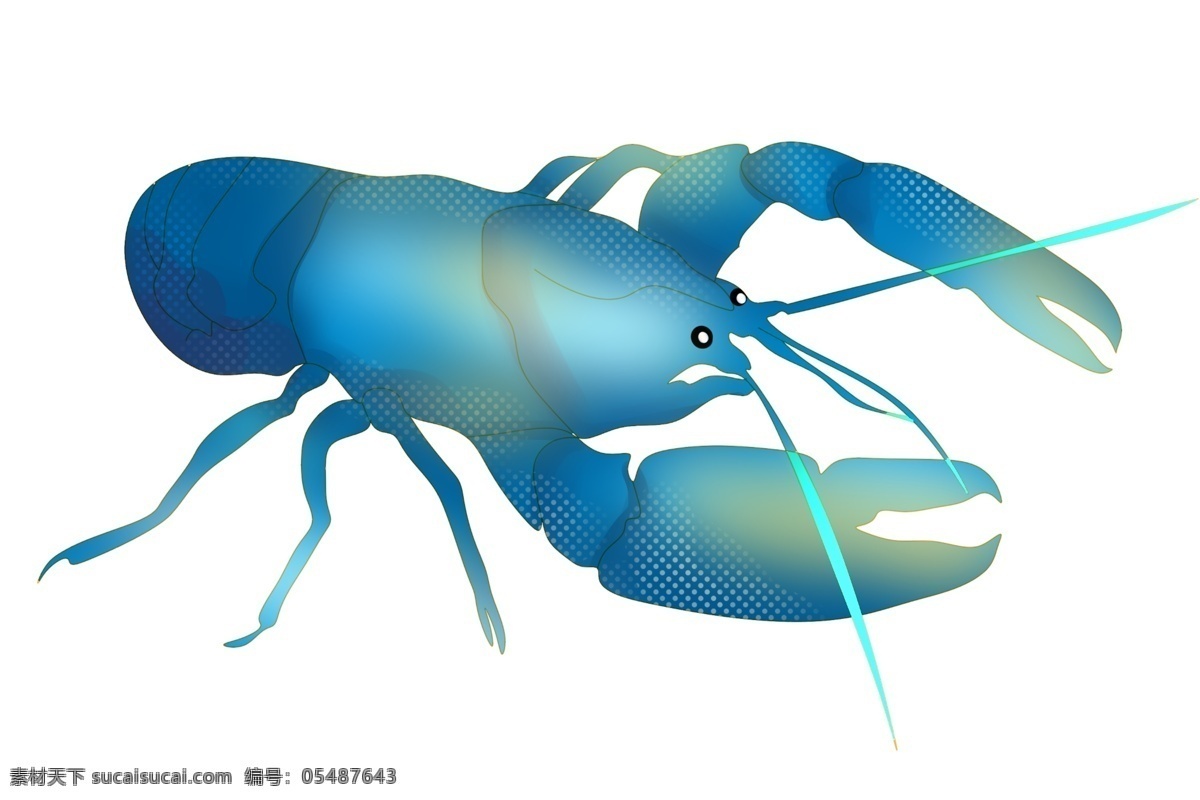 蓝色 龙虾 动物 插画 蓝色的龙虾 卡通插画 动物插画 龙虾插画 龙虾动物 美食龙虾 漂亮的龙虾