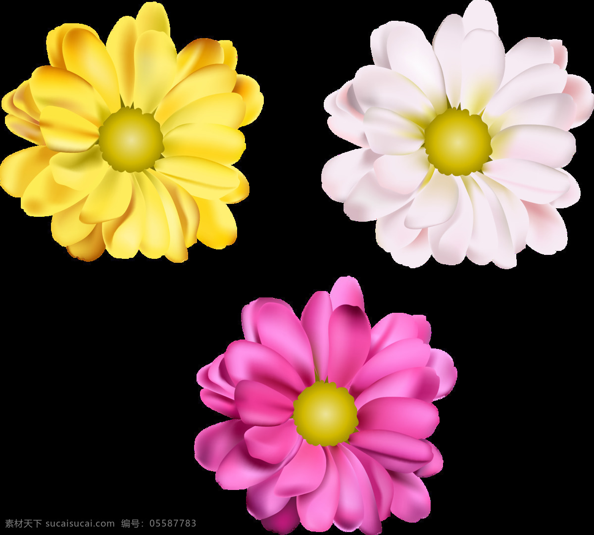 清新 盛开 手绘 菊花 装饰 元素 花瓣 花朵 黄色花蕊 植物 装饰元素
