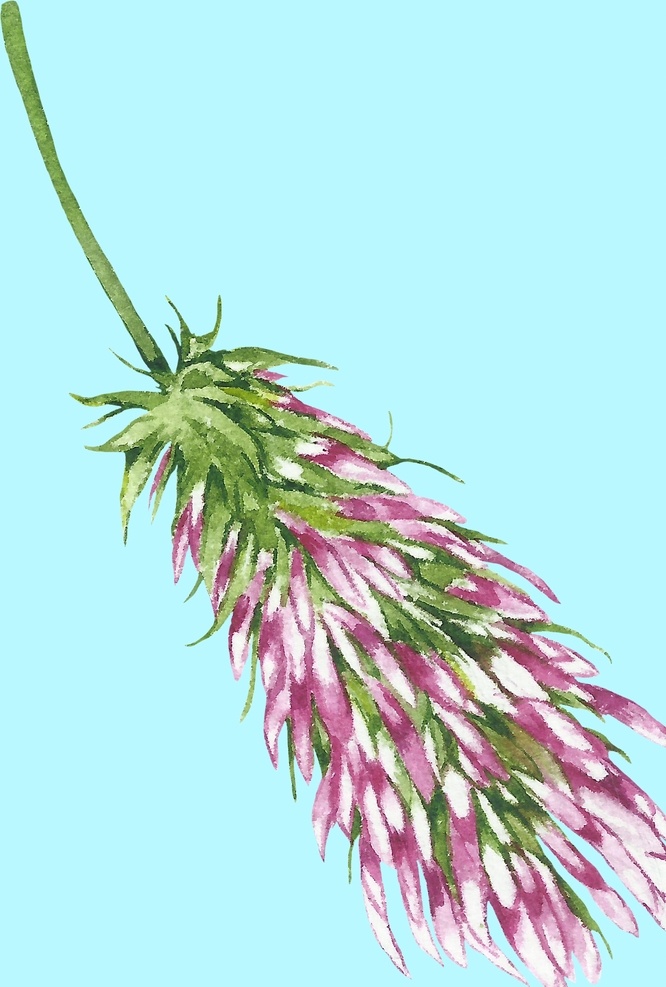 花卉树叶 花卉 植物花卉 植物画 花朵画 花朵绘画 花朵美术 手绘花朵 花朵水彩 水彩花朵 花草绘画 花朵插画 植物插画 水彩植物 手绘植物 手绘树叶 水彩树叶 树叶 花卉背景 花卉底纹 鲜花 花朵 叶子 花叶 绿叶 绿色叶子 小花 小花朵 竹 植物 文化艺术 绘画书法