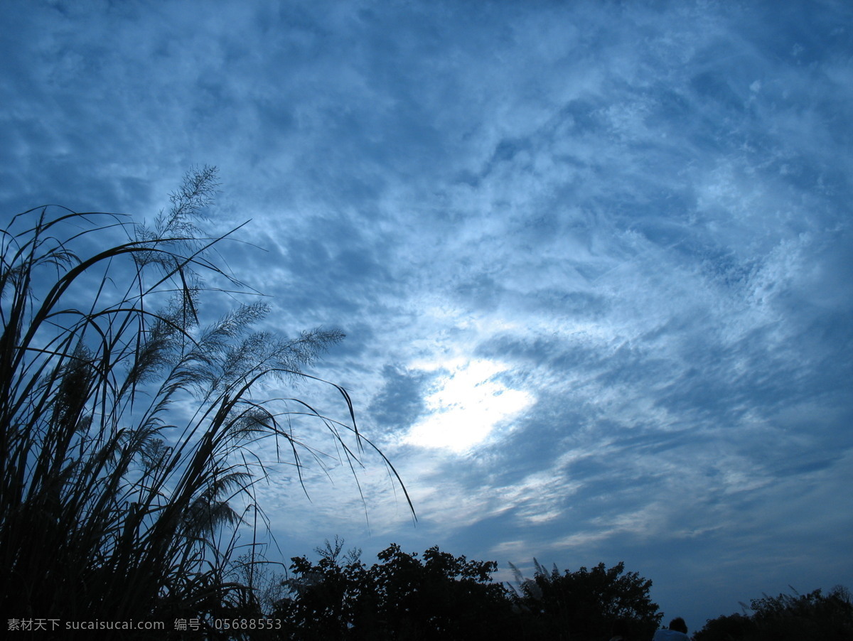 向晚的天空2 向晚的天空 晚霞 夕阳 芦苇 丫头 爱 石 拍摄 宝石蓝 自然景观 田园风光 自然风光 摄影图库