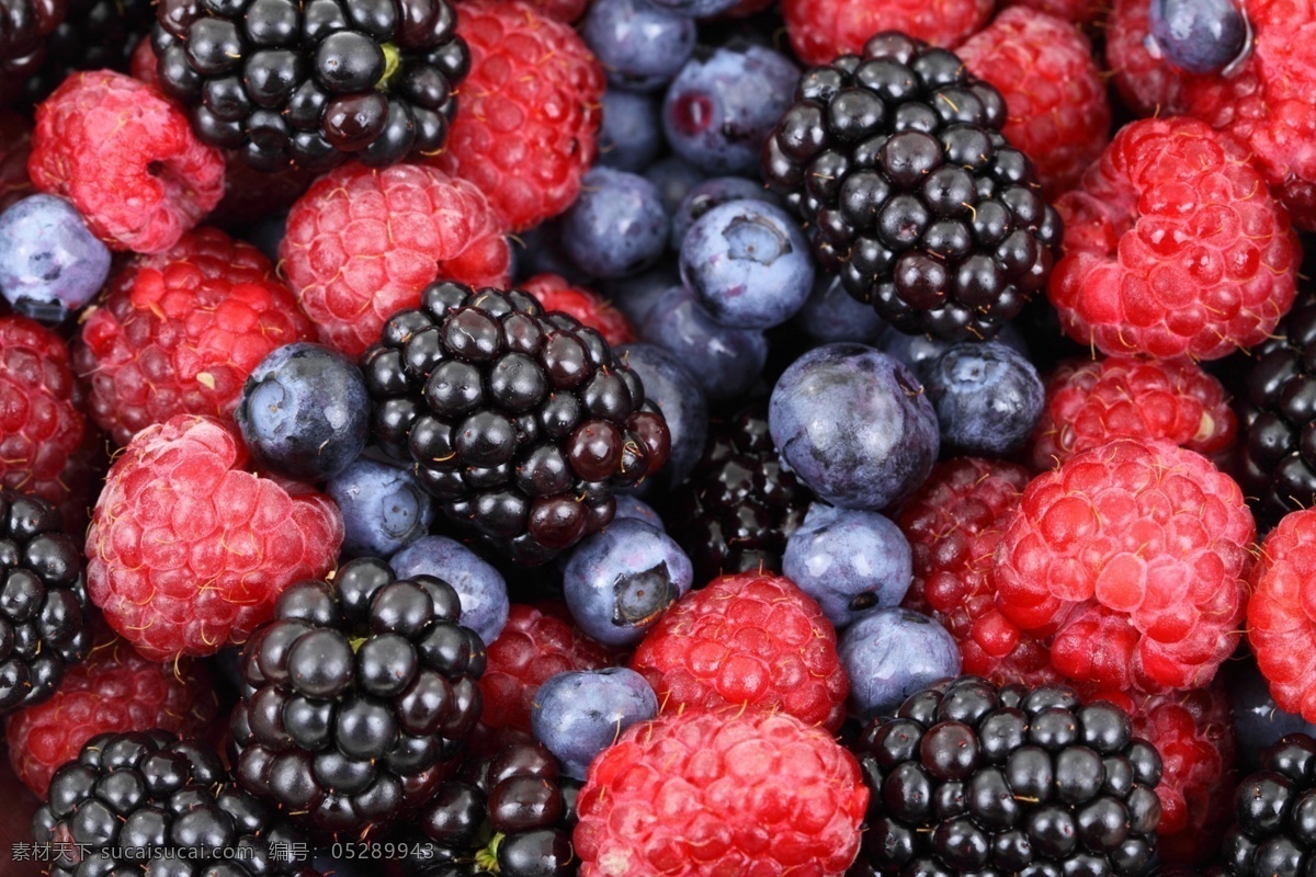 桑葚 覆盆子 蓝莓背景 蓝莓 水果 食物 食品 新鲜 水果背景 饮食 健康 绿色食品 生物世界 高清 tiff 桌面 高清壁纸 壁纸 拍摄 摆拍 高清摄影 水果摄影 美食摄影