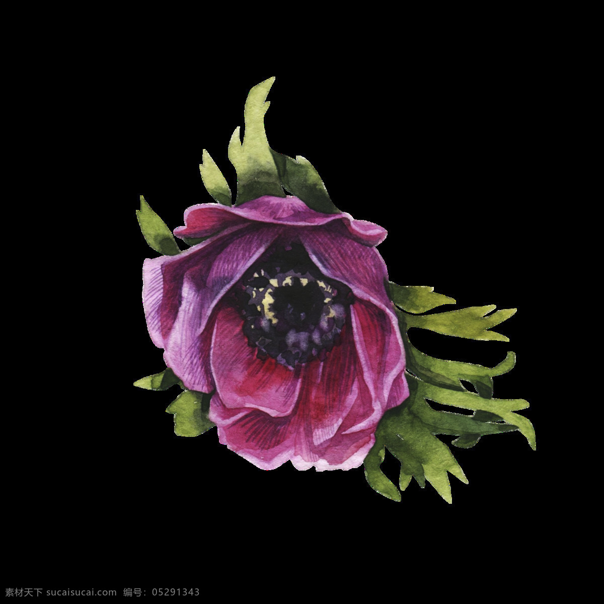 紫色 花卉 透明 装饰 图案 设计素材 抠图专用