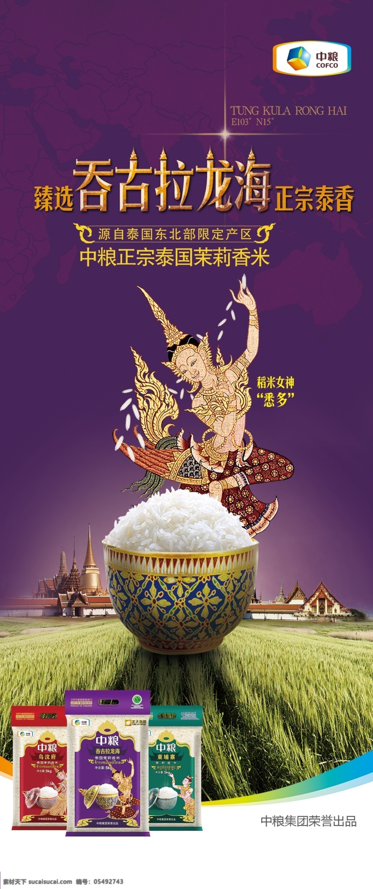 吞 古拉 龙海 泰国 香米 中粮集团 吞古拉龙海 泰国香米 稻米女神 悉多