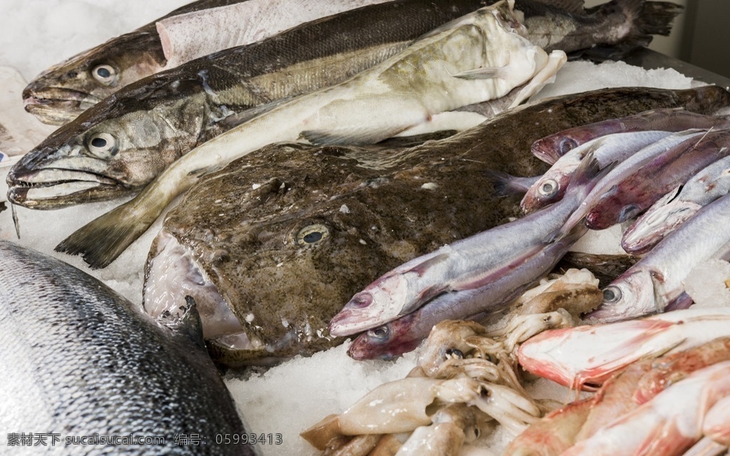 海鲜 海鲜市场 新鲜海鲜 海产品 新鲜海产品 海鲜素材 海鲜大全 海产品大全 海参 鲍鱼 蛤蜊 海螺 扇贝 食物图片 餐饮美食 传统美食