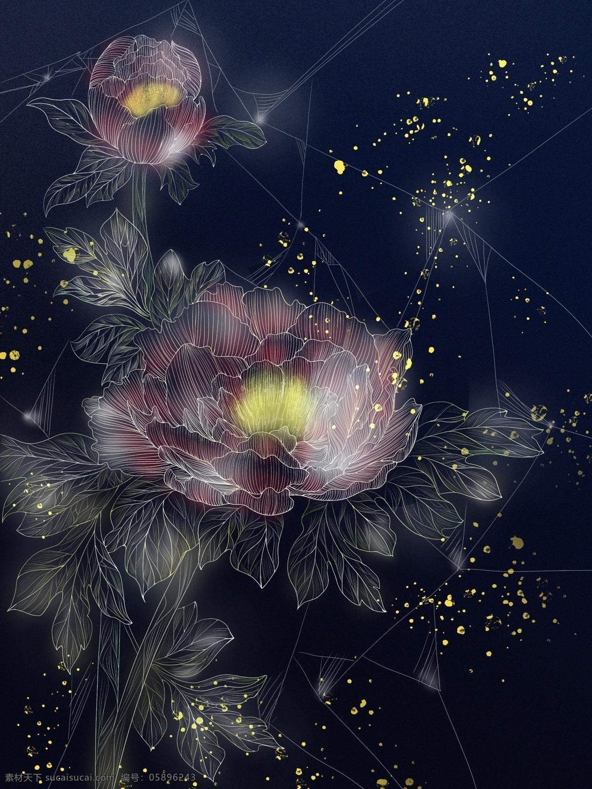 牡丹 透明感 插画 趋势 线条