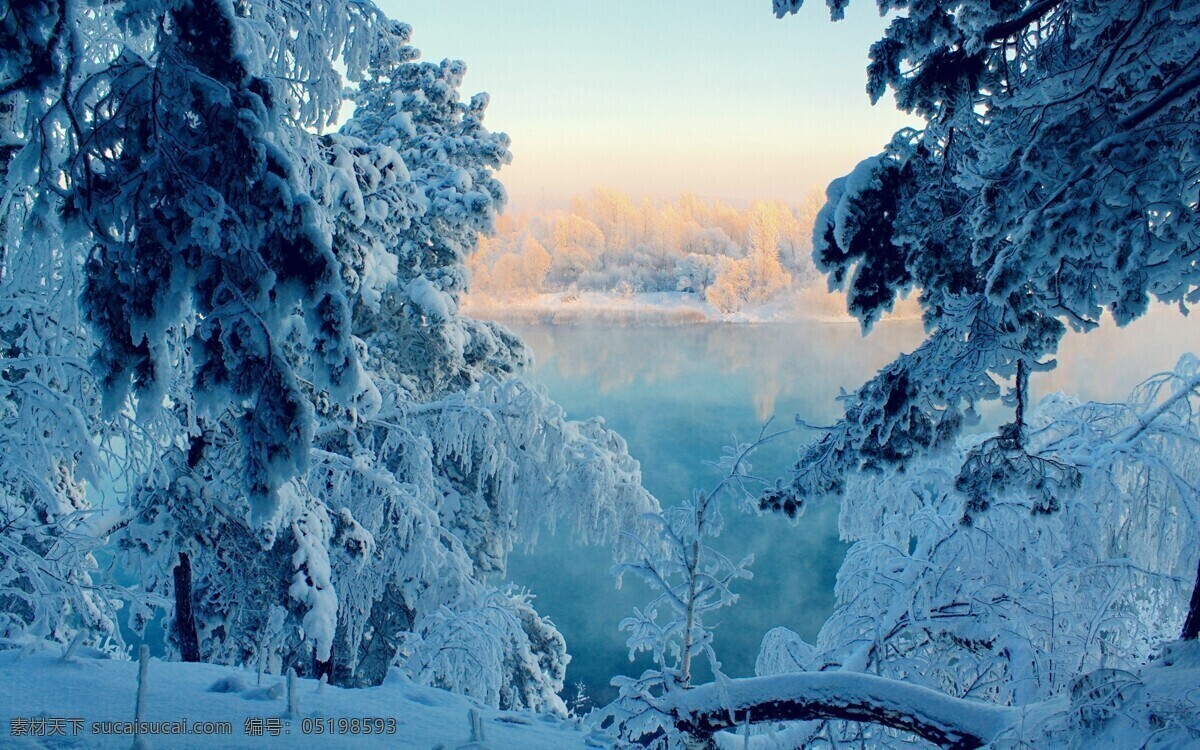 唯美的雪景 雪景 美丽的雪景 冬天的雪景 冬天雪景 自然景观 山水风景