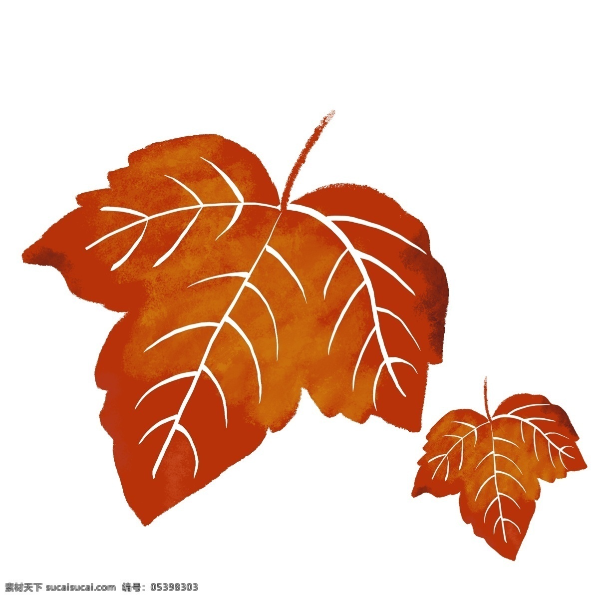 秋季 落叶 卡通 手绘 红叶 树叶 绿叶 叶子 枫叶 枫树叶 成熟 红色 banner