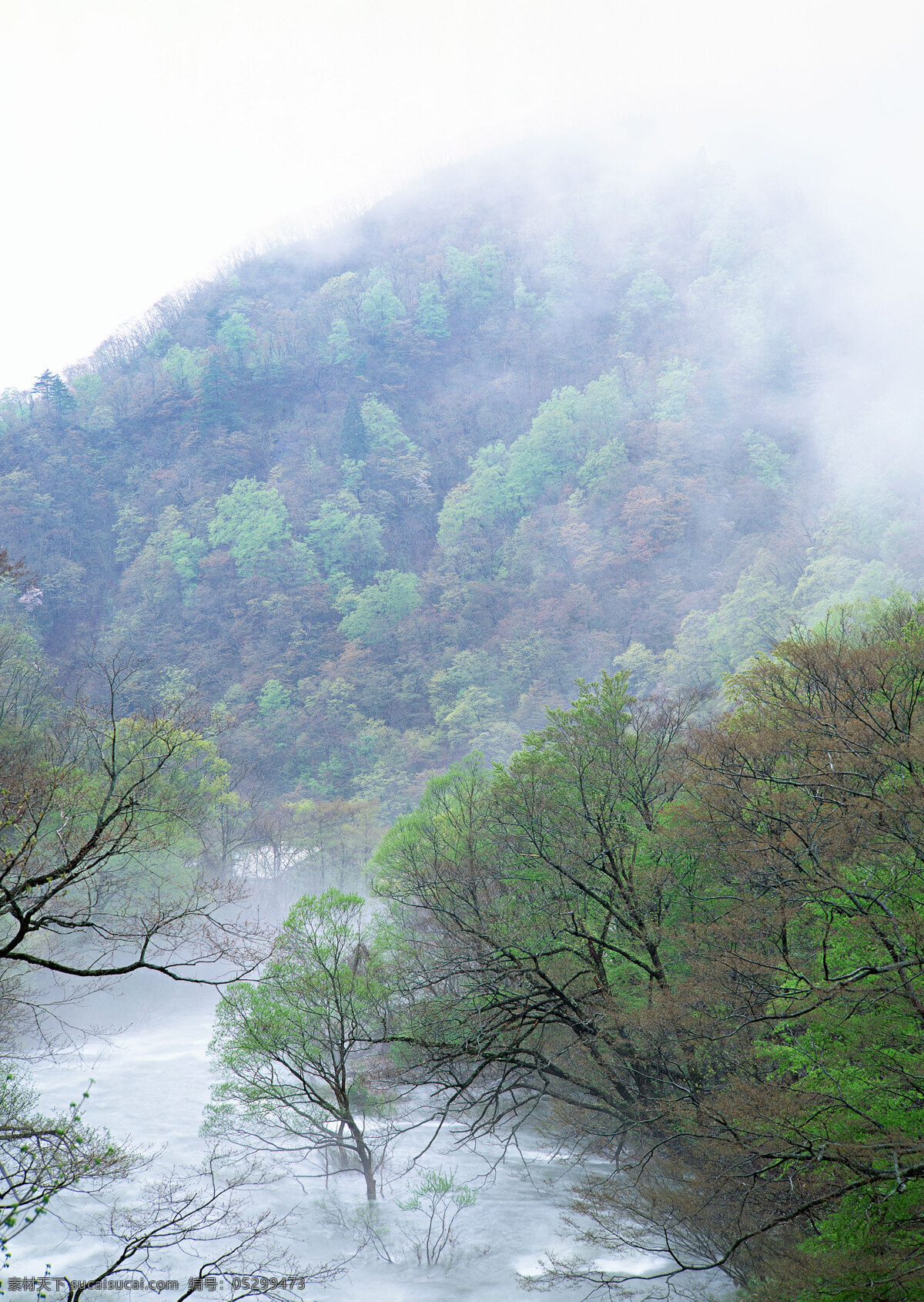 云雾 中 山林 云 风景 生活 旅游餐饮