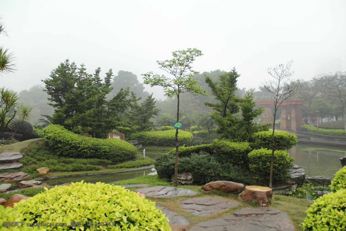 风景 公园 公园风景 建筑园林 树木 园林建筑 自然风景 千 灯 湖 一角 千灯湖公园 水 公园一角 家居装饰素材 灯饰素材