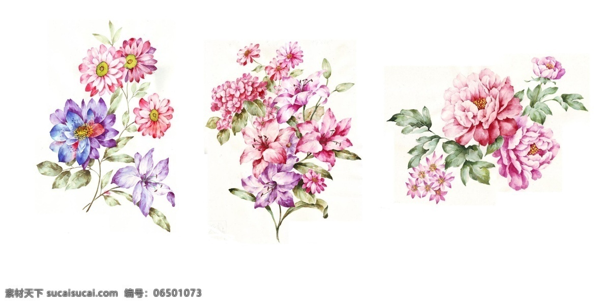 清新 浪漫 手绘 水彩 花卉 花朵 水墨 白色