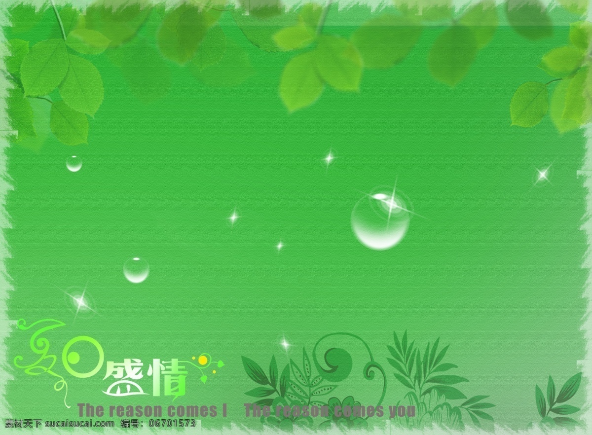 绿色背景素材 盛情 文字 英文字母 水滴 树叶 绿色背景 新雅背景 清新背景 背景素材 源文件 底纹边框 背景底纹