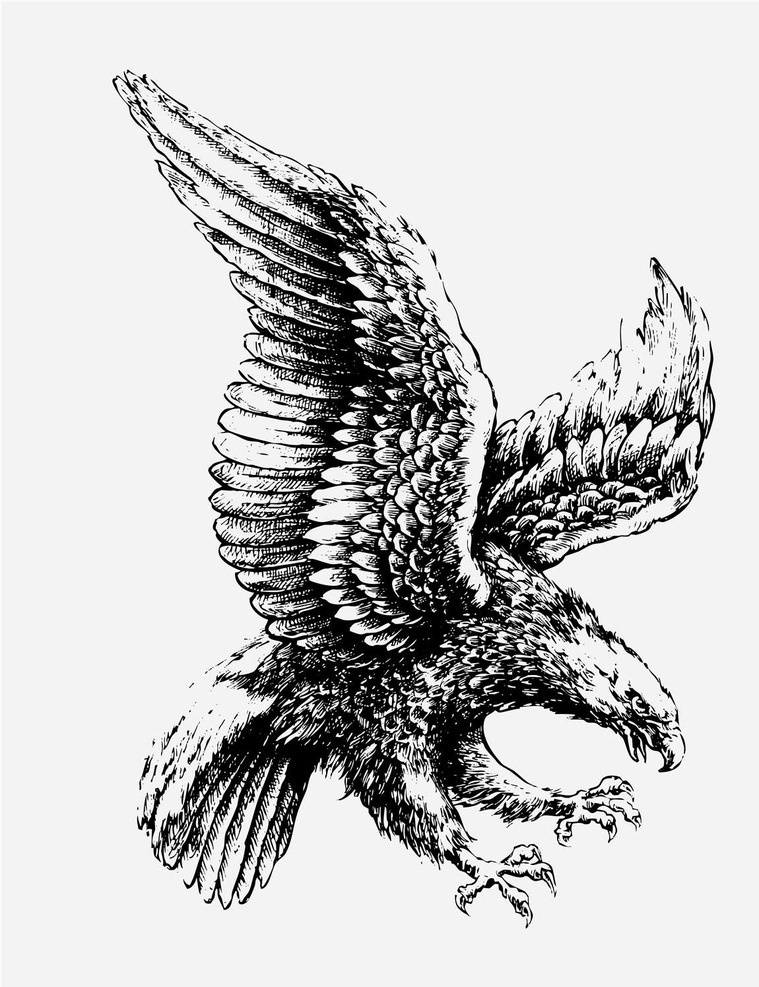 老鹰 logo 图标 老鹰logo 老鹰图标 老鹰标志 鸟 鸟图标 鸟logo 鸟标志 小图标 小标志 标志 vi icon 标识 图标设计 logo设计 标志设计 标识设计 矢量设计 矢量图标 欧美图标 欧美设计